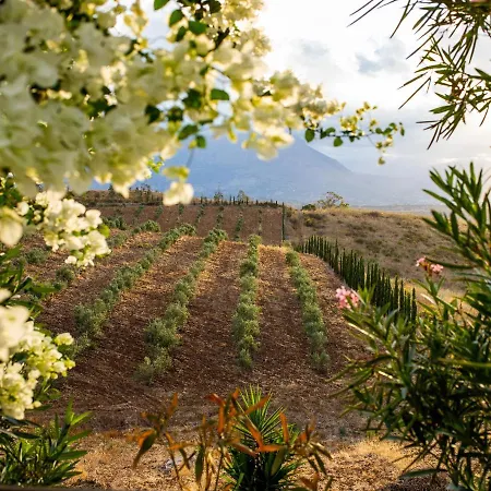 Masseria Del Piano Готель 3*