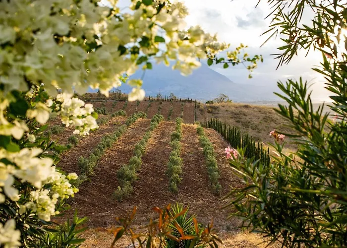 Masseria Del Piano Ξενοδοχείο 3*
